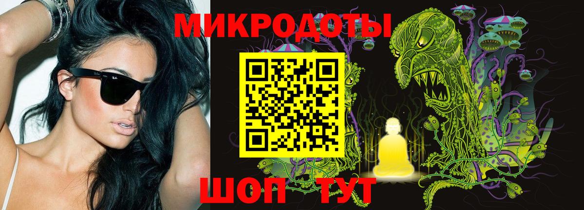 Псилоцибиновые грибы Psilocybe Канаш