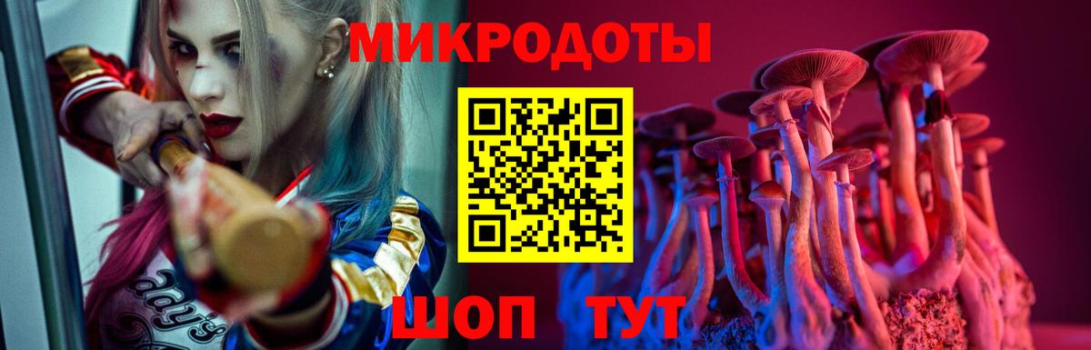 Канаш  Псилоцибиновые грибы Psilocybe  Псилоцибиновые грибы MAGIC MUSHROOMS  Вход с VPN 